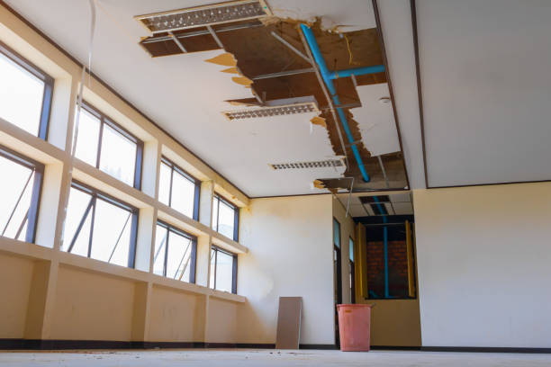 Best Carpet water damage restoration  in Versailles, PA