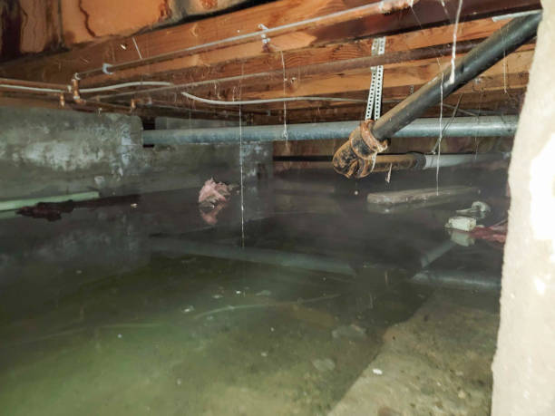 Best Flooded house restoration  in Versailles, PA