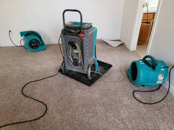 Best Commercial water damage restoration  in Versailles, PA
