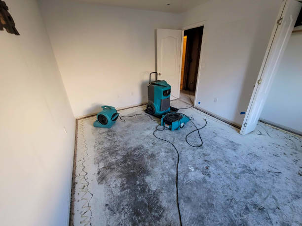 Best 24-hour water damage restoration  in Versailles, PA