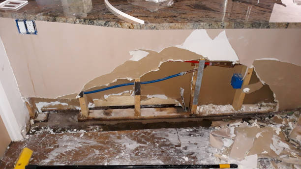Best Flooded house restoration  in Versailles, PA