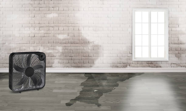  Versailles, PA Water damage restoration Pros