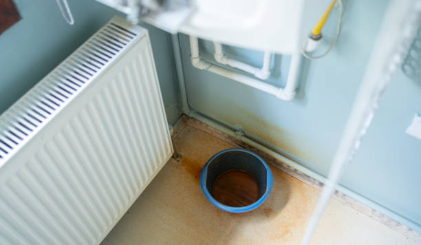 Best Basement water damage restoration  in Versailles, PA