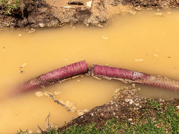 Best Water damage cleanup near me  in Versailles, PA